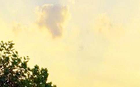 2023�꺆(ji��n)�������õ��簲ף���Z(y��)�\��34�l