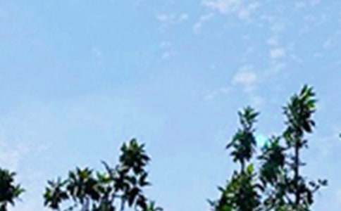 ���������õ��簲QQף���Z���\55��