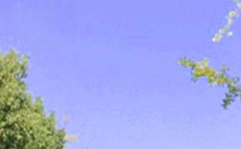 2023�꺆(ji��n)�������õ��簲΢��ף���Z(y��)��ϼ�53�l