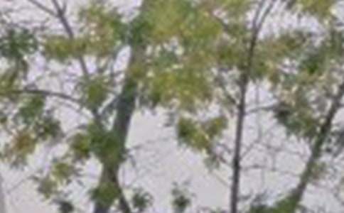 2023�꺆(ji��n)�̵����õ��簲΢��ף���Z(y��)39��