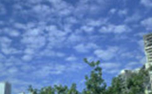 2021�ꌍ�õ����õ��簲΢��ף���Z���\53��