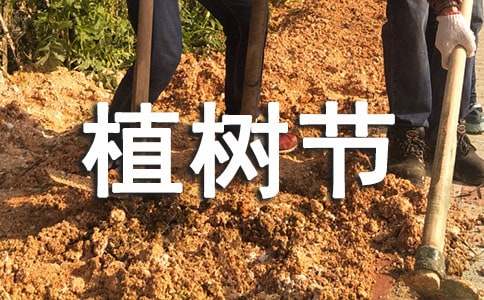 (優(yōu)選)植樹節(jié)活動策劃書