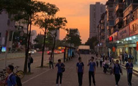 �ЌW(xu��)�����(hu��)��(sh��)�`�ĵ�[��(y��u)��15ƪ]