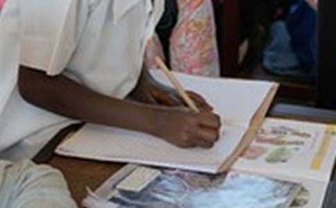 有關(guān)小雞寫作文集錦八篇