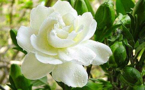 �d�ӻ��Ļ��Z�͂��f-�r���Y�x