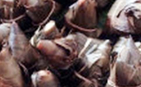 ���ӵďV���Z�����x320�䣩