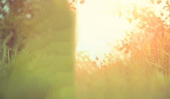 ��ˇΨ���f(shu��)�f(shu��)���Z(y��)40�侫�x