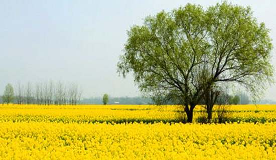 �������v��